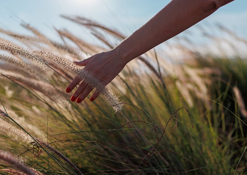 Construction Dompierre