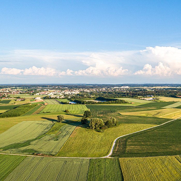 Construction Esnandes