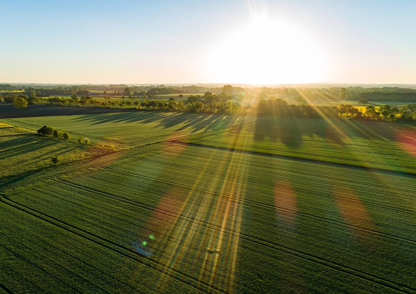 Constructeur La Jarne