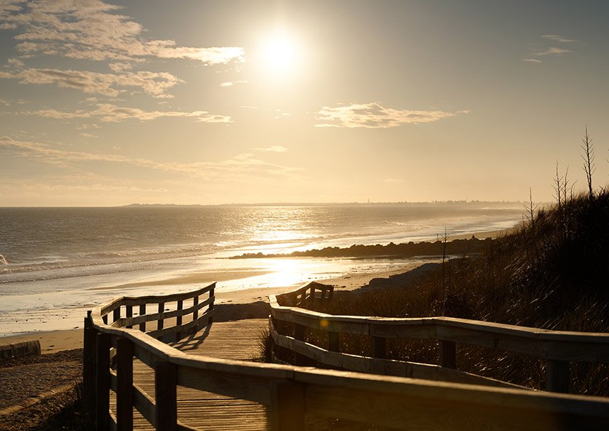 Constructur Bois Plage