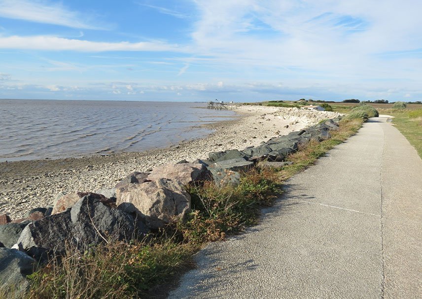 Constructeur Marsilly