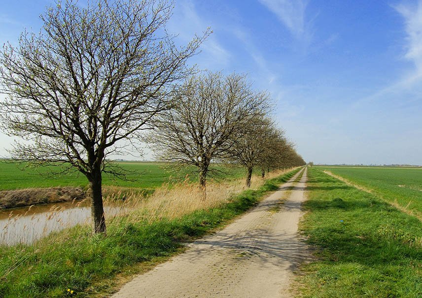 Constructeur Montroy