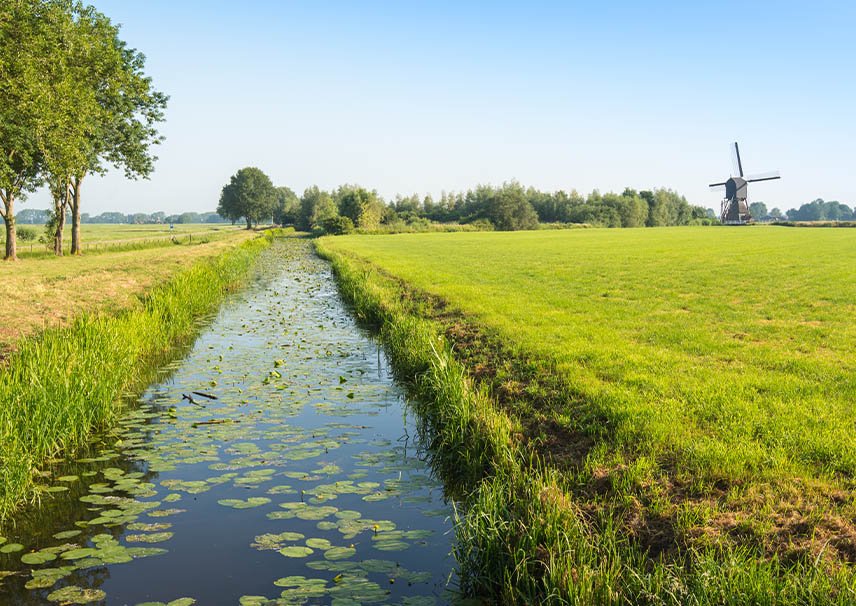 Construction Montroy