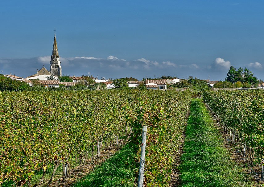 Thairé - Constructeur